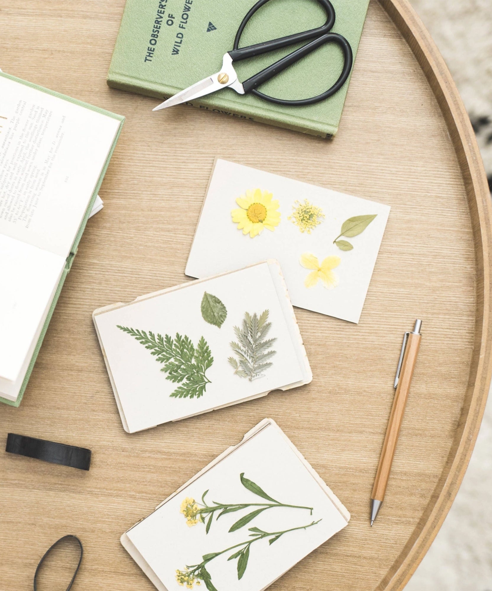 A Pocket Flower Press, botanical cards, a book, scissors, a pen, and tape are arranged neatly on the table.